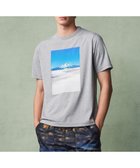 【ジョセフ アブード マウンテン/JOSEPH ABBOUD MOUNTAIN】の【吸水速乾/消臭性】デオドライ天竺 フォトプリント Tシャツ 人気、トレンドファッション・服の通販 founy(ファニー) ファッション Fashion レディースファッション Fashion for Women トップス・カットソー Cut & Sew Tops シャツ・ブラウス・オフィスカジュアル Elegant Blouses & Button-Ups ロングTシャツ・Tシャツ Longline T-Shirts & Tees カットソー・ベーシックTシャツ Cut-and-Sewn Tops / Stretch Tees & Basics カットソー Cut and Sewn Top プリント Print, Printed Pattern 吸水 Absorbent, Quick-Dry 夏 Summer 春 Spring S/S・春夏 SS, Spring/Summer, Warm Season thumbnail ライトグレー系6|ID: prp329100004679072 ipo3291000000033802006