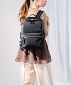 【エースバッグズアンドラゲッジ/ACE BAGS & LUGGAGE】のace. ラポルテム ビジネスリュック 2気室 A4 13.3インチPC収納 15L 68521 エース 人気、トレンドファッション・服の通販 founy(ファニー) ファッション Fashion レディースファッション Fashion for Women バッグ Bags クッション Cushion, Throw Pillow 傘 Umbrella, Parasol ストライプ Stripe, Striped Pattern スマート Smart, Elegant スーツ Suit, Formalwear セットアップ Set-Up, Coordinated Outfit ダブル Double, Double-Breasted フロント Front, Front Design ポケット Pocket, Pocket Detail ポーチ Pouch, Small Case モバイル Mobile, Smartphone リュック Backpack, Rucksack ループ Loop, Loop Knit ワーク Workwear, Utility Style 再入荷 Restock / Back in Stock スーツケース キャリーケース Suitcase / Carry Case ビジネス 仕事 通勤 Business / Work / Commuting thumbnail ブラック|ID: prp329100004679348 ipo3291000000033803152