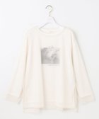 【エニィ スィス/any SiS】の【貴島明日香さんコラボ】チュールレイニャード猫 Tシャツ アイボリー×フォト|ID: prp329100004679628 ipo3291000000034296335