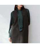 【アイシービー/iCB】の【WEB限定】 ドレープサテン ボウタイブラウス 人気、トレンドファッション・服の通販 founy(ファニー) ファッション Fashion レディースファッション Fashion for Women トップス・カットソー Cut & Sew Tops シャツ・ブラウス・オフィスカジュアル Elegant Blouses & Button-Ups 2025年 2025 2025-2026秋冬・A/W Autumn/Winter 2025–26 AW25–26 サテン Satin, Glossy Fabric ジャケット Jacket, Outerwear セレモニー Ceremony ツイード Twill, Twill Weave ドレープ Drape, Draping Fabric 人気 Popular, Best Seller ビジネス 仕事 通勤 Business / Work / Commuting A/W・秋冬 Autumn/Winter thumbnail ミッドグリーン系|ID: prp329100004679968 ipo3291000000034959303