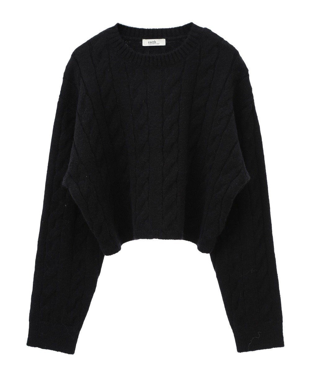【アースミュージックアンドエコロジー/earth music&ecology】のケーブルニットプルオーバー インテリア・キッズ・メンズ・レディースファッション・服の通販 founy(ファニー) ファッション Fashion レディースファッション Fashion for Women トップス・カットソー Cut & Sew Tops ニット Knit Tops & Sweaters カジュアルプルオーバー・ニットトップス Pullovers & Knit Tops / Casual Pullovers おすすめ Recommended / Our Picks クロップド Cropped, Short Length コンパクト Compact, Small Size セーター Sweater, Knitwear トレンド Trend, Trending Now フォルム Silhouette, Form ポケット Pocket, Pocket Detail A/W・秋冬 Autumn/Winter Black|ID: prp329100004680295 ipo3291000000034270195