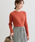 【グリーンパークス/Green Parks】のプチケーブルクルーネックニットプルオーバー 人気、トレンドファッション・服の通販 founy(ファニー) ファッション Fashion レディースファッション Fashion for Women トップス・カットソー Cut & Sew Tops ニット Knit Tops & Sweaters カジュアルプルオーバー・ニットトップス Pullovers & Knit Tops / Casual Pullovers おすすめ Recommended / Our Picks インナー Innerwear ジャケット Jacket, Outerwear セーター Sweater, Knitwear フィット Fit, Slim Fit ポケット Pocket, Pocket Detail エレガント 上品 Elegant A/W・秋冬 Autumn/Winter thumbnail Orange|ID: prp329100004680450 ipo3291000000033807430