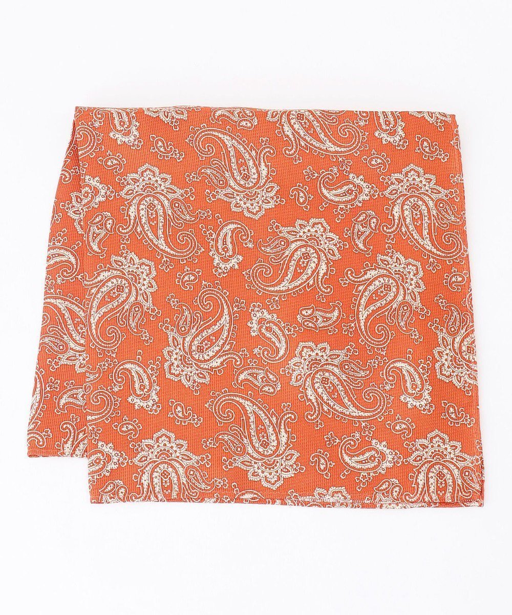 【ジェイ プレス/J.PRESS / MEN】のペイズリーハンドプリント チーフ インテリア・キッズ・メンズ・レディースファッション・服の通販 founy(ファニー) 　ファッション　Fashion　メンズファッション　Fashion for Men　シルク　Silk, 100% Silk　スーツ　Suit, Formalwear　ビジネス 仕事 通勤　Business / Work / Commuting　ペイズリー　Paisley, Ethnic Pattern　エレガント 上品　Elegant　オレンジ系6|ID: prp329100004686707 ipo3291000000034941060