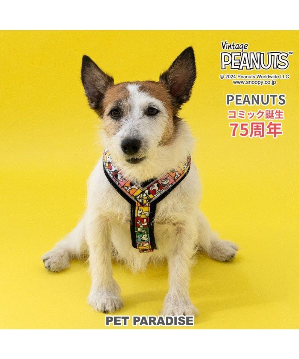 【ペットパラダイス/PET PARADISE / GOODS】のスヌーピー 75周年 アクティブ ハーネス 小型犬 SS インテリア・キッズ・メンズ・レディースファッション・服の通販 founy(ファニー) 　犬　Dog　ホーム・キャンプ・アウトドア・お取り寄せ　Home Living / Home & Lifestyle / Camping Gear / Outdoor Camping　ペットグッズ　Pet Supplies　75周年柄|ID: prp329100004693116 ipo3291000000033886635