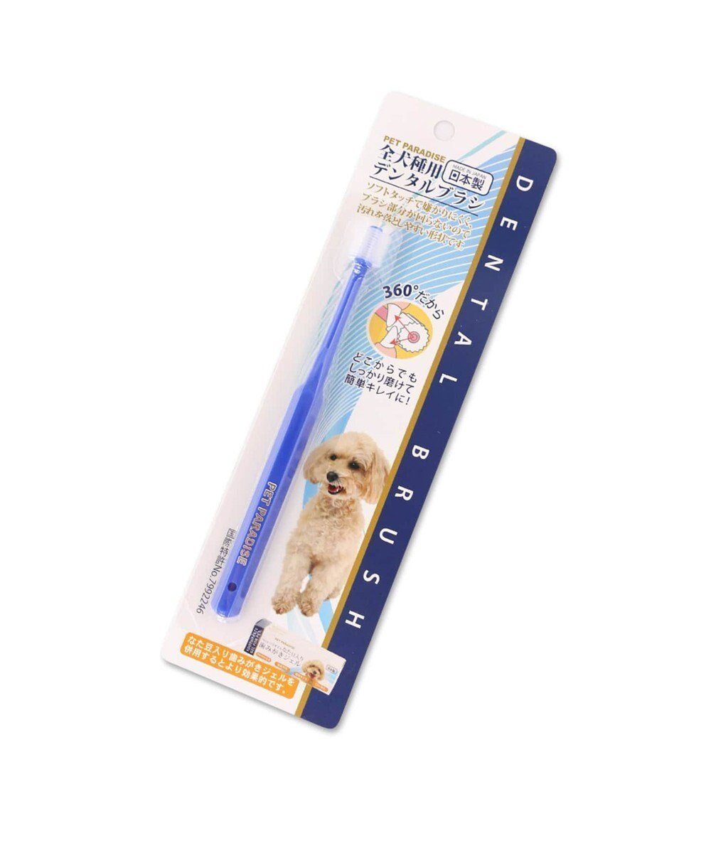 【ペットパラダイス/PET PARADISE / GOODS】のペティソワン 全犬種用歯ブラシ 青 ハブラシ 人気、トレンドファッション・服の通販 founy(ファニー) 　犬　Dog　ホーム・キャンプ・アウトドア・お取り寄せ　Home Living / Home & Lifestyle / Camping Gear / Outdoor Camping　ペットグッズ　Pet Supplies　 other-1|ID: prp329100004693126 ipo3291000000033886665