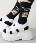 【ウィゴー/WEGO / MEN】のグラフィックデザインソックス(R) 柄2|ID: prp329100004693129 ipo3291000000033886691
