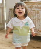 【組曲 / KIDS/KUMIKYOKU】の【80-100㎝】シナぷしゅ襟付き カットソー ミント|ID: prp329100004695453 ipo3291000000033906346