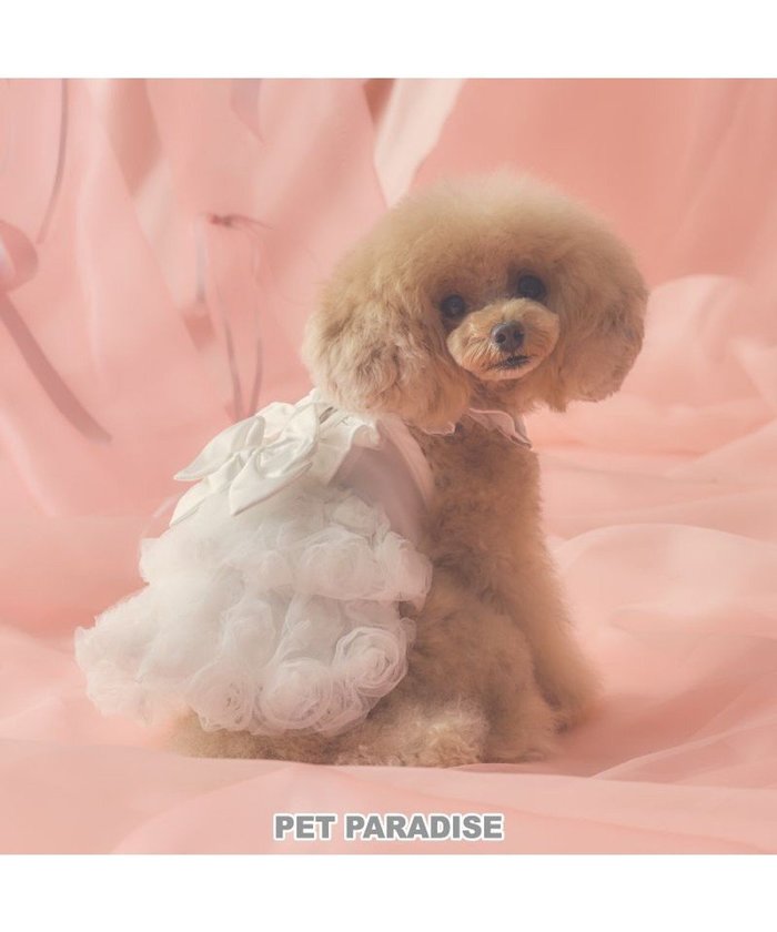 【ペットパラダイス/PET PARADISE / GOODS】のcherircouture ローズチュールワンピース 《ホワイト》 小型犬 インテリア・キッズ・メンズ・レディースファッション・服の通販 founy(ファニー) https://founy.com/ イレギュラー Irregular Design ギャザー Gathered, Ruffled バレエ Ballet, Ballet Style リボン Ribbon, Bow 犬 Dog A/W・秋冬 Autumn/Winter ホーム・キャンプ・アウトドア・お取り寄せ Home Living / Home & Lifestyle / Camping Gear / Outdoor Camping ペットグッズ Pet Supplies |ID: prp329100004695455 ipo3291000000033906351