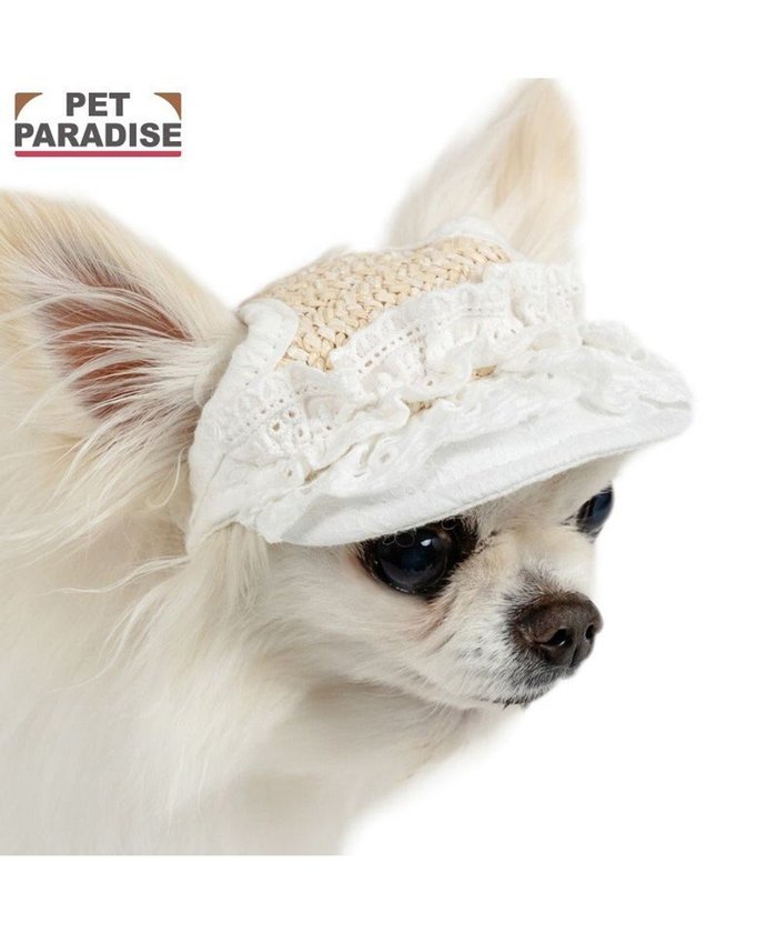 【ペットパラダイス/PET PARADISE / GOODS】のペットパラダイス フリル キャップ 4S～3S/SS～S インテリア・キッズ・メンズ・レディースファッション・服の通販 founy(ファニー) https://founy.com/ キャップ Cap, Baseball Cap キャラクター Character, Licensed Characters スポーツ Sports, Activewear フィット Fit, Slim Fit フリル Frill, Ruffle 夏 Summer S/S・春夏 SS, Spring/Summer, Warm Season 犬 Dog 秋 Autumn A/W・秋冬 Autumn/Winter ホーム・キャンプ・アウトドア・お取り寄せ Home Living / Home & Lifestyle / Camping Gear / Outdoor Camping ペットグッズ Pet Supplies |ID: prp329100004695461 ipo3291000000033906363