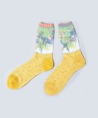 【コキュウ/COQ / MEN】の【日本製/リバーシブル/シアー/26-28cm】water garden ソックス イエロー|ID: prp329100004696984 ipo3291000000033918678