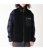 【コロンビア/Columbia / MEN】のColumbia/ アーチャーリッジIIIベスト /コロンビア 人気、トレンドファッション・服の通販 founy(ファニー) ファッション Fashion メンズファッション Fashion for Men トップス・カットソー Cut & Sew Tops ベスト・ジレ Vests & Gilets アウトドア Outdoor Clothing ストレッチ Stretch, Stretchy Fabric フィット Fit, Slim Fit フロント Front, Front Design ブロック Block, Solid Block Pattern ベスト Vest, Waistcoat ポケット Pocket, Pocket Detail レギュラー Regular, Standard Fit 切替 Switching, Contrast Panel 夏 Summer 定番 Standard, Basic Item S/S・春夏 SS, Spring/Summer, Warm Season A/W・秋冬 Autumn/Winter thumbnail Black|ID: prp329100004696995 ipo3291000000034398087