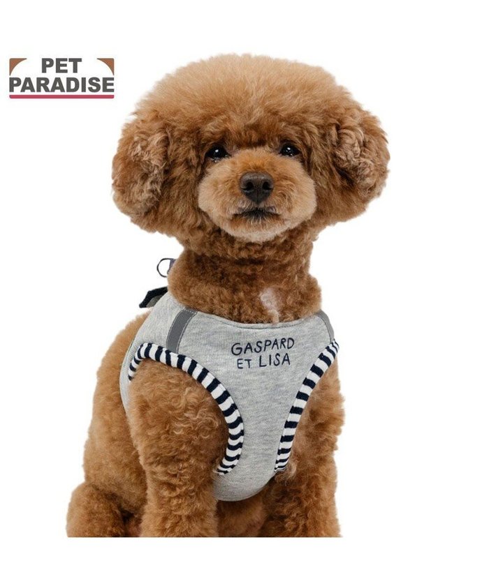 【ペットパラダイス/PET PARADISE / GOODS】のリサとガスパール ベストハーネス 《エッフェル》 SS インテリア・キッズ・メンズ・レディースファッション・服の通販 founy(ファニー) https://founy.com/ パール Pearl, Pearl Accent ベスト Vest, Waistcoat 犬 Dog ホーム・キャンプ・アウトドア・お取り寄せ Home Living / Home & Lifestyle / Camping Gear / Outdoor Camping ペットグッズ Pet Supplies |ID: prp329100004698397 ipo3291000000033927698