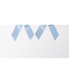 【ウィゴー/WEGO】の【痛バ&推し活グッズ】ときめきDIYセットS【一部店舗限定】 人気、トレンドファッション・服の通販 founy(ファニー) ファッション Fashion レディースファッション Fashion for Women ミニ財布・二つ折り財布 Wallets & Card Cases 2023年 2023 2023-2024秋冬・A/W Autumn/Winter 2023–24 AW23–24 フリル Frill, Ruffle プレーン Plain, Simple リボン Ribbon, Bow 冬 Winter / This Winter 財布 Wallet, Purse thumbnail サックス|ID: prp329100004700105 ipo3291000000034992091