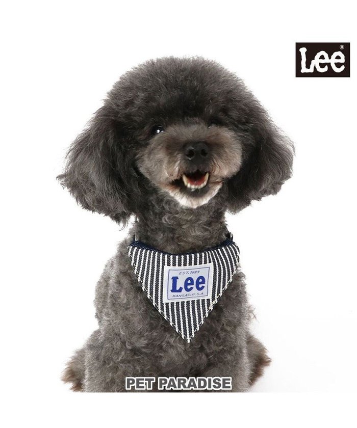 【ペットパラダイス/PET PARADISE / GOODS】のLee ヒッコリー 両面バンダナ付き 首輪【SS】 インテリア・キッズ・メンズ・レディースファッション・服の通販 founy(ファニー) https://founy.com/ シンプル Simple, Minimal デニム Denim, Jeans Material バンダナ Bandana, Head Scarf 犬 Dog ホーム・キャンプ・アウトドア・お取り寄せ Home Living / Home & Lifestyle / Camping Gear / Outdoor Camping ペットグッズ Pet Supplies |ID: prp329100004700123 ipo3291000000033938011