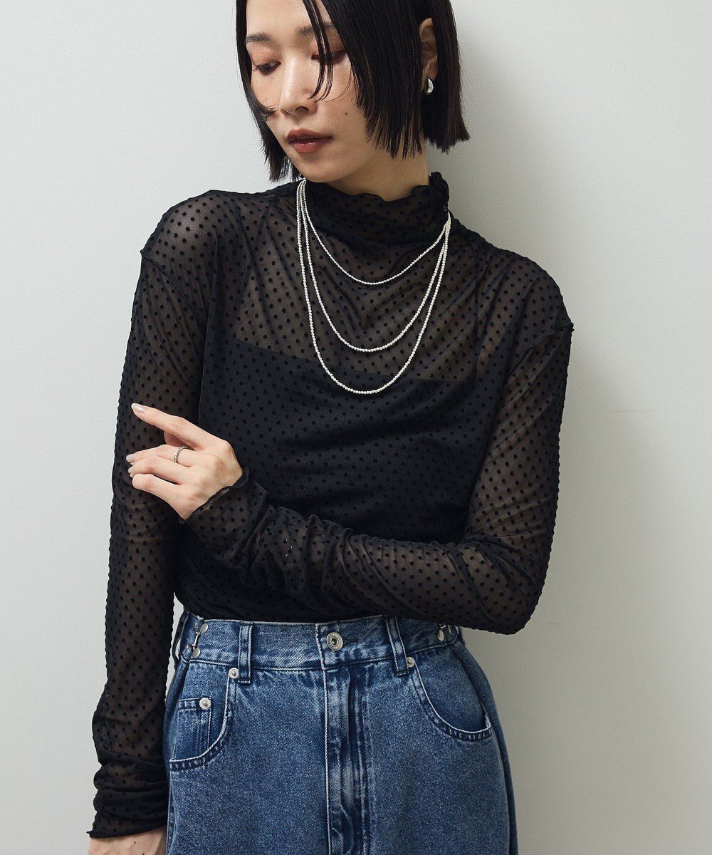 【グリーンパークス/Green Parks】の・ANDSEARCH ドットチュールハイネック インテリア・キッズ・メンズ・レディースファッション・服の通販 founy(ファニー) 　ファッション　Fashion　レディースファッション　Fashion for Women　トップス・カットソー　Cut & Sew Tops　シャツ・ブラウス・オフィスカジュアル　Elegant Blouses & Button-Ups　ロングTシャツ・Tシャツ　Longline T-Shirts & Tees　カットソー・ベーシックTシャツ　Cut-and-Sewn Tops / Stretch Tees & Basics　新作・新入荷　New Arrivals / New In　おすすめ　Recommended / Our Picks　カットソー　Cut and Sewn Top　シアー　Sheer, See-Through　スラックス　Slacks, Dress Pants　デニム　Denim, Jeans Material　ハイネック　High Neck, Mock Neck　ビスチェ　Bustier, Corset Top　ポケット　Pocket, Pocket Detail　ミックス　Mix, Mixed Style　A/W・秋冬　Autumn/Winter　Black|ID: prp329100004700485 ipo3291000000033939535