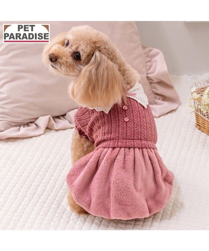 【ペットパラダイス/PET PARADISE / GOODS】のペットパラダイス レース襟 ワンピース 小型犬 インテリア・キッズ・メンズ・レディースファッション・服の通販 founy(ファニー) https://founy.com/ 新作・新入荷 New Arrivals / New In レース Lace, Lace Fabric 犬 Dog A/W・秋冬 Autumn/Winter ホーム・キャンプ・アウトドア・お取り寄せ Home Living / Home & Lifestyle / Camping Gear / Outdoor Camping ペットグッズ Pet Supplies |ID: prp329100004701693 ipo3291000000033949150