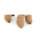 【ペットパラダイス/PET PARADISE / GOODS】のペットパラダイス ライオン ふわふわ パーカー 小型犬 ベージュ|ID: prp329100004701698 ipo3291000000033949161