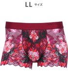 【ワコール/Wacoal / MEN】のWACOAL MEN ボクサーパンツ 【レースボクサー】 フロント快適グラマラス 通気性 前閉じ 下着 メンズ WT3827 /ワコールメン ロマンピンク|ID: prp329100004701777 ipo3291000000033949462