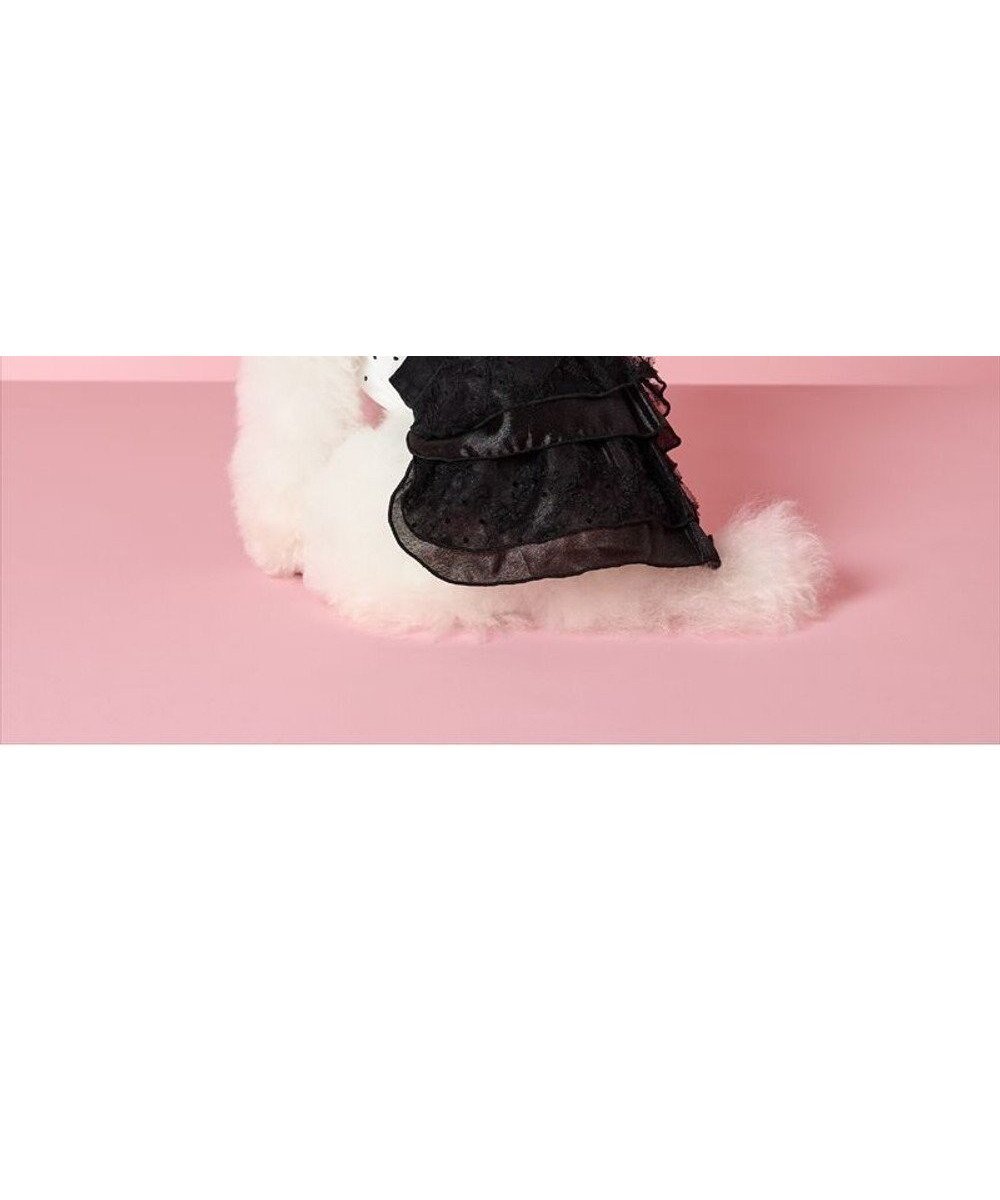 【ペットパラダイス/PET PARADISE / GOODS】のcherircouture ドットシャツ ワンピース 小型犬 人気、トレンドファッション・服の通販 founy(ファニー) 　イレギュラー　Irregular Design　トレンド　Trend, Trending Now　ドット　Polka Dot, Dot Pattern　ビジュー　Bijou, Jewel-like Accent　フリル　Frill, Ruffle　リボン　Ribbon, Bow　レース　Lace, Lace Fabric　A/W・秋冬　Autumn/Winter　新作・新入荷　New Arrivals / New In　犬　Dog　ホーム・キャンプ・アウトドア・お取り寄せ　Home Living / Home & Lifestyle / Camping Gear / Outdoor Camping　ペットグッズ　Pet Supplies　 other-1|ID: prp329100004709419 ipo3291000000034017375