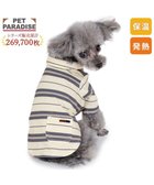 【ペットパラダイス/PET PARADISE / GOODS】のペットパラダイス ペティヒート Tシャツ 《マルチボーダー 》小型犬 ベージュ×グレー|ID: prp329100004709486 ipo3291000000034017555