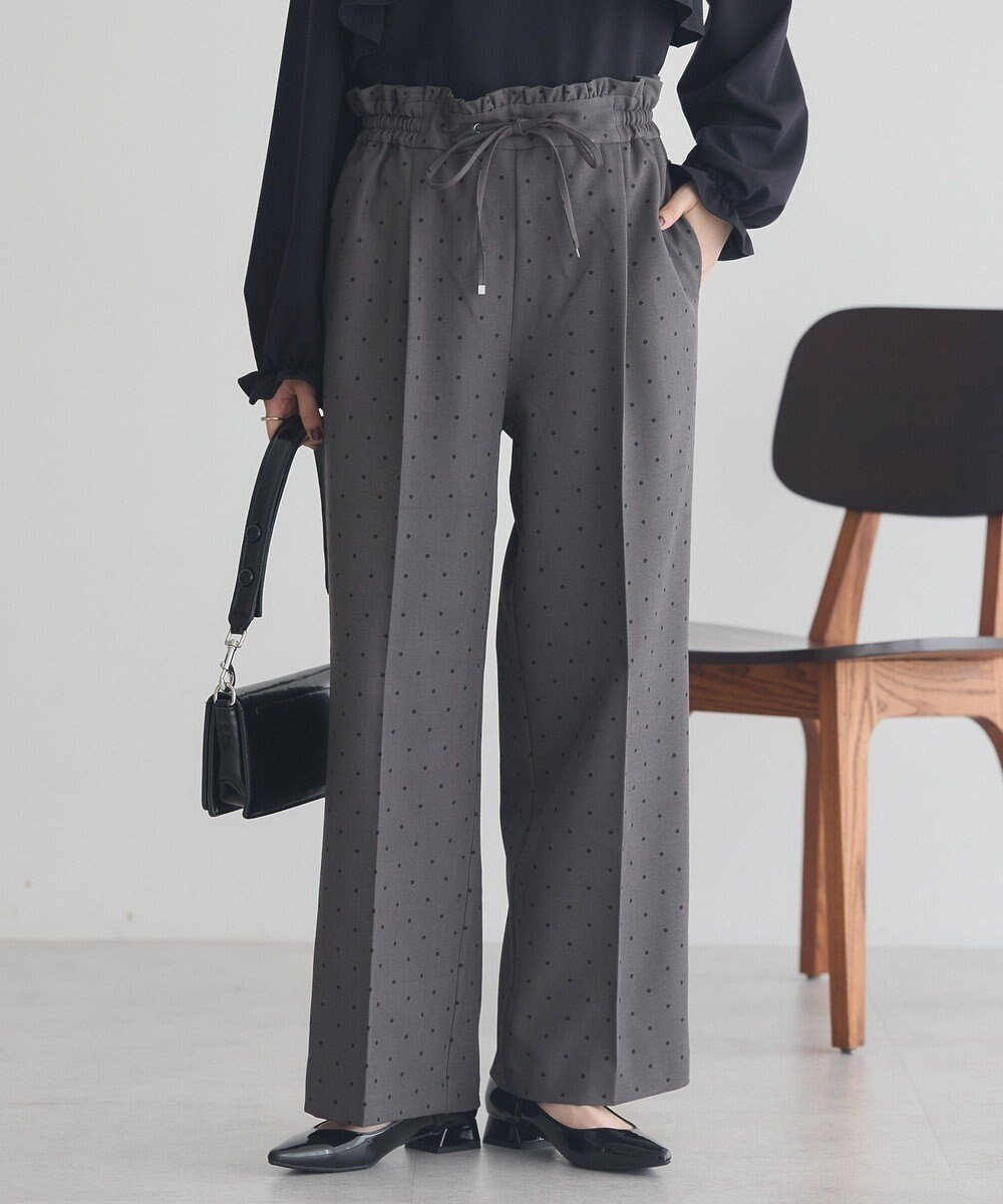 【アースミュージックアンドエコロジー/earth music&ecology】のリラックスドットパンツ インテリア・キッズ・メンズ・レディースファッション・服の通販 founy(ファニー) ファッション Fashion レディースファッション Fashion for Women パンツ Pants & Trousers おすすめ Recommended / Our Picks ツイル Twist, Twisted Detail ドット Polka Dot, Dot Pattern プリント Print, Printed Pattern ポケット Pocket, Pocket Detail リラックス Relax, Relaxed Fit ワイド Wide, Wide Fit A/W・秋冬 Autumn/Winter Gray|ID: prp329100004715706 ipo3291000000035829214