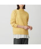 【ジェイ プレス/J.PRESS】の【WEB限定カラーあり】CAT ハイネック ニット イエロー系|ID: prp329100004716840 ipo3291000000034080317