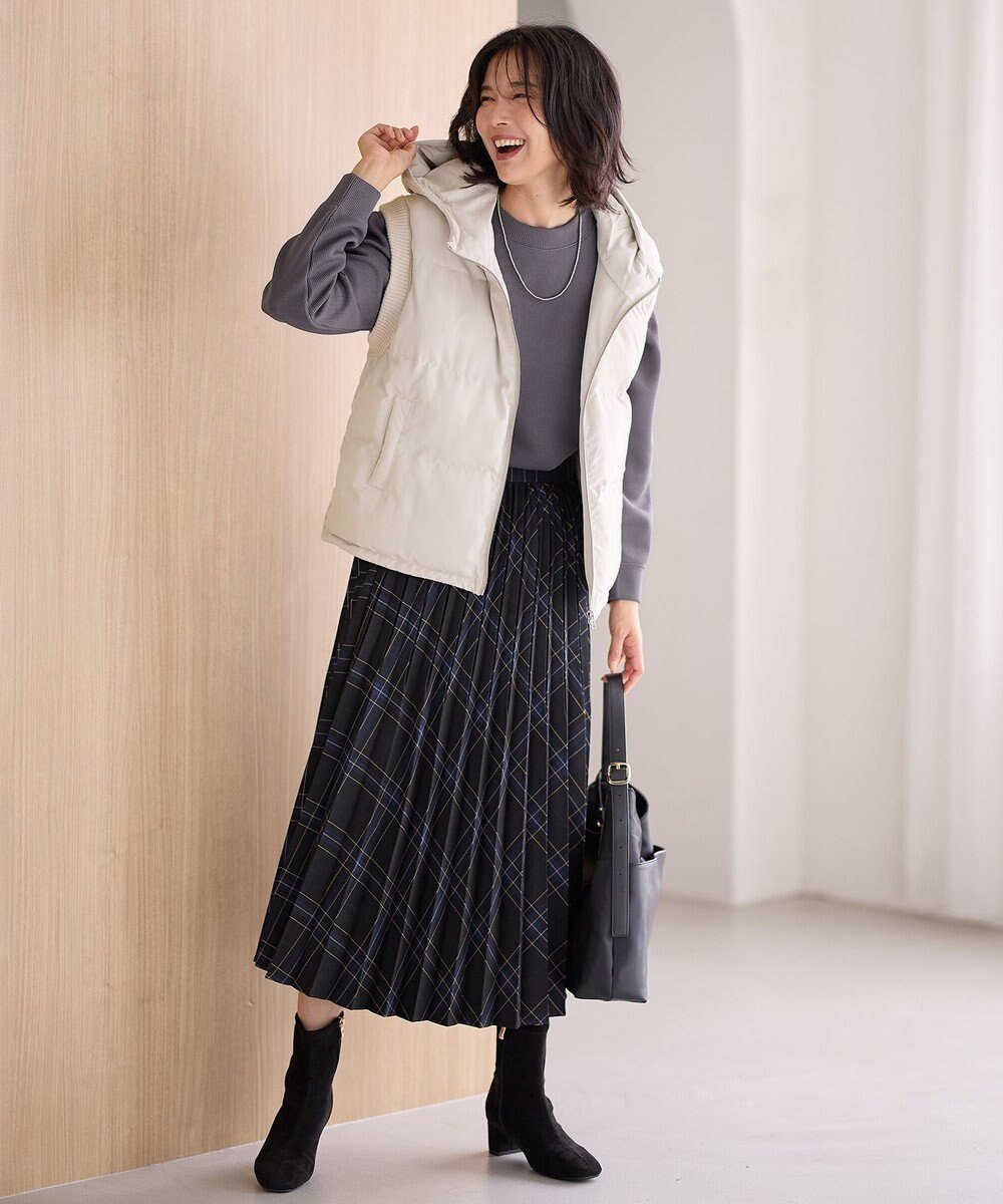 【エニー/ANY】の【洗濯機可/ウエストゴム】チェックプリーツスカート インテリア・キッズ・メンズ・レディースファッション・服の通販 founy(ファニー) 　ファッション　Fashion　レディースファッション　Fashion for Women　スカート　Skirts　プリーツスカート / 上品フェミニンスタイル　Pleated Skirts　おすすめ　Recommended / Our Picks　クラシック　Classic, Timeless Style　チェック　Check, Plaid, Tartan　フレア　Flare, Flared　プリーツ　Pleats, Pleated　エレガント 上品　Elegant　人気　Popular, Best Seller　A/W・秋冬　Autumn/Winter　ブルーチェック|ID: prp329100004718172 ipo3291000000034515418