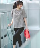 【エニィ スィス/any SiS】の【洗える】シアーストライプ ブラウス ギンガム|ID: prp329100004727721 ipo3291000000034155457