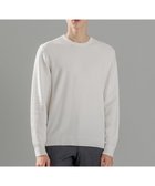 【ジョゼフ オム/JOSEPH HOMME / MEN】の【イージーケア】 ヴィスコースリンクス クルーネックニット ホワイト系|ID: prp329100004734418 ipo3291000000034199010