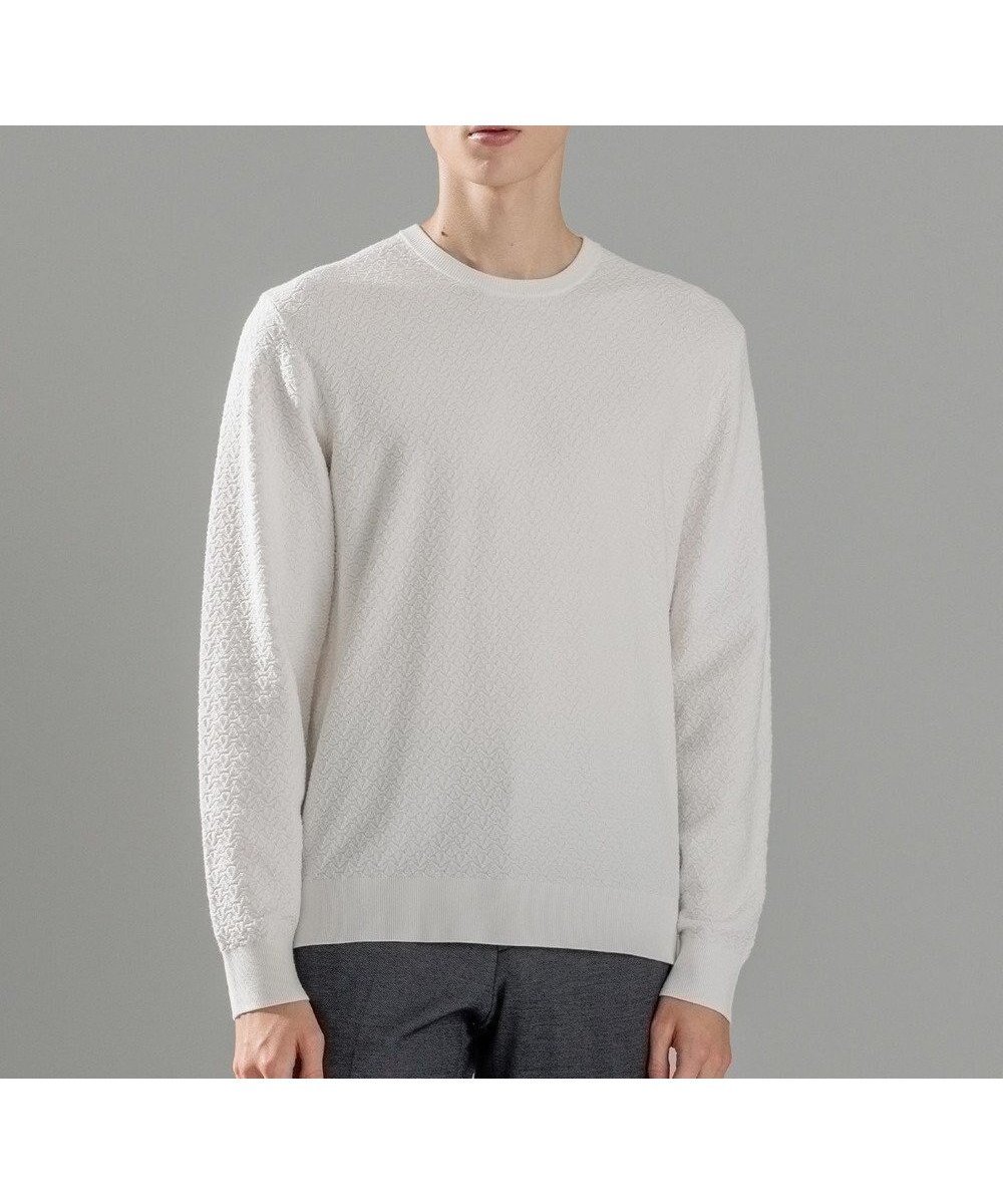 【ジョゼフ オム/JOSEPH HOMME / MEN】の【イージーケア】 ヴィスコースリンクス クルーネックニット インテリア・キッズ・メンズ・レディースファッション・服の通販 founy(ファニー) 　ファッション　Fashion　メンズファッション　Fashion for Men　トップス・カットソー　Cut & Sew Tops　ニット・セーター / 定番トップス　Knit Tops & Sweaters　シンプル　Simple, Minimal　セーター　Sweater, Knitwear　フィット　Fit, Slim Fit　メランジ　Melange, Mixed Yarn　レギュラー　Regular, Standard Fit　ロング　Long, Long-Length　A/W・秋冬　Autumn/Winter　長袖　Long Sleeve, Full Sleeve　ホワイト系|ID: prp329100004734418 ipo3291000000034199010