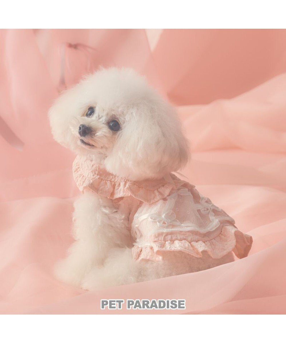 【ペットパラダイス/PET PARADISE / GOODS】のcherircouture フリルカラーワンピース 小型犬 インテリア・キッズ・メンズ・レディースファッション・服の通販 founy(ファニー) イレギュラー Irregular Design チュール Tulip, Tulip Motif フリル Frill, Ruffle モチーフ Motif, Design Theme リボン Ribbon, Bow 犬 Dog A/W・秋冬 Autumn/Winter ホーム・キャンプ・アウトドア・お取り寄せ Home Living / Home & Lifestyle / Camping Gear / Outdoor Camping ペットグッズ Pet Supplies ピンク|ID: prp329100004738971 ipo3291000000034229990