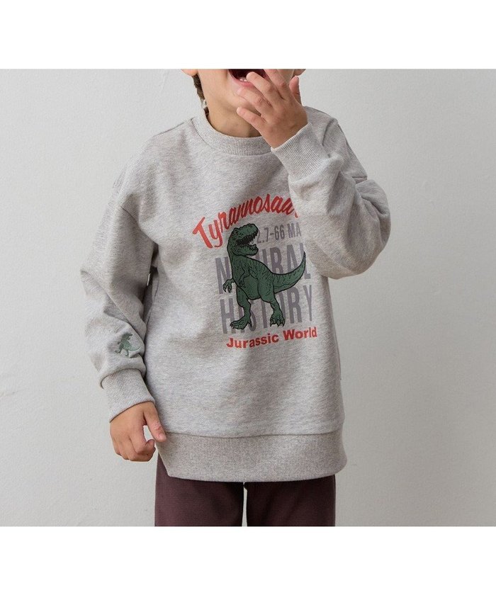 【エニィ/ANY / KIDS】の恐竜プリント 裏毛トレーナー インテリア・キッズ・メンズ・レディースファッション・服の通販 founy(ファニー) https://founy.com/ ファッション Fashion キッズファッション Fashion for Kids トップス・カットソー Cut & Sew Tops 秋 Autumn スウェット / スエット Sweatshirt, Sweatwear スマホ Smartphone, Mobile Device トレンド Trend, Trending Now トレーナー Sweatshirt, Trainer 長袖 Long Sleeve, Full Sleeve フロント Front, Front Design プリント Print, Printed Pattern ポケット Pocket, Pocket Detail モチーフ Motif, Design Theme 冬 Winter / This Winter A/W・秋冬 Autumn/Winter おすすめ Recommended / Our Picks 2025年 2025 2025-2026秋冬・A/W Autumn/Winter 2025–26 AW25–26 |ID: prp329100004740078 ipo3291000000034241889
