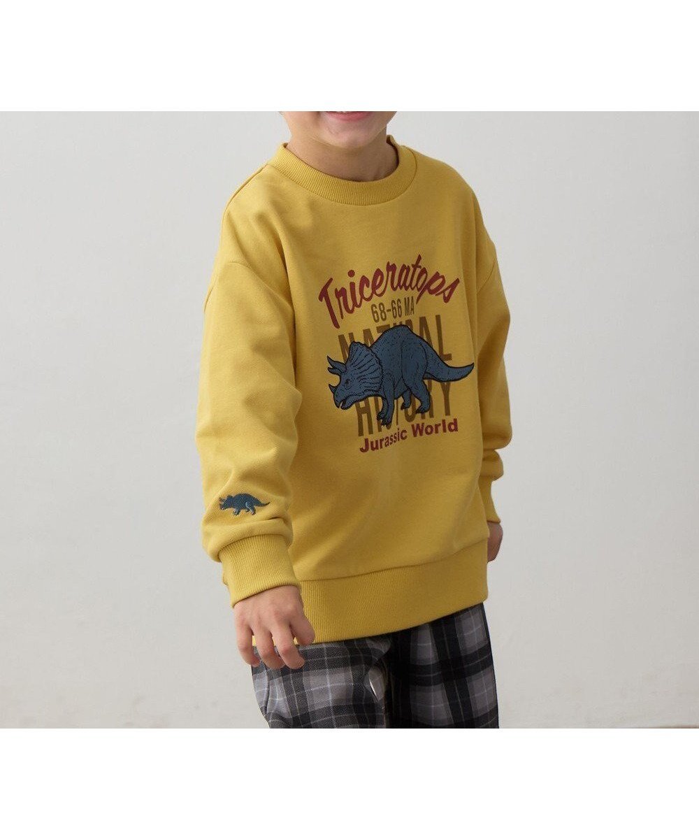 【エニィ/ANY / KIDS】の恐竜プリント 裏毛トレーナー インテリア・キッズ・メンズ・レディースファッション・服の通販 founy(ファニー) 　ファッション　Fashion　キッズファッション　Fashion for Kids　トップス・カットソー　Cut & Sew Tops　秋　Autumn　スウェット / スエット　Sweatshirt, Sweatwear　スマホ　Smartphone, Mobile Device　トレンド　Trend, Trending Now　トレーナー　Sweatshirt, Trainer　長袖　Long Sleeve, Full Sleeve　フロント　Front, Front Design　プリント　Print, Printed Pattern　ポケット　Pocket, Pocket Detail　モチーフ　Motif, Design Theme　冬　Winter / This Winter　A/W・秋冬　Autumn/Winter　おすすめ　Recommended / Our Picks　2025年　2025　2025-2026秋冬・A/W　Autumn/Winter 2025–26 AW25–26　マスタード|ID: prp329100004740078 ipo3291000000034241892