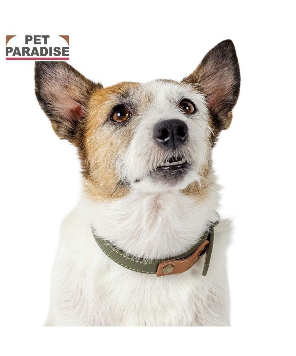 【ペットパラダイス/PET PARADISE / GOODS】のペットパラダイス 合皮 首輪 《カーキ》 小型犬 SS 人気、トレンドファッション・服の通販 founy(ファニー) 　新作・新入荷　New Arrivals / New In　犬　Dog　ホーム・キャンプ・アウトドア・お取り寄せ　Home Living / Home & Lifestyle / Camping Gear / Outdoor Camping　ペットグッズ　Pet Supplies　 other-1|ID: prp329100004740097 ipo3291000000034241986