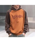 【ウィゴー/WEGO / MEN】のラグランプルパーカー ブラウン|ID: prp329100004742837 ipo3291000000034273153