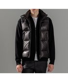 【ジョゼフ オム/JOSEPH HOMME / MEN】のライトゴートシュリンクレザー ダウンベスト 人気、トレンドファッション・服の通販 founy(ファニー) ファッション Fashion メンズファッション Fashion for Men アウター Men's Coats Outerwear イタリア Italy インナー Innerwear ジップ Zip, Zipper ジャケット Jacket, Outerwear スタンド Stand Collar, Upright Stand スポーティ Sporty, Casual Athletic ダウン Down, Puffer ドローコード Drawcord, Drawstring Cord フェザー Feather, Feather Detail フロント Front, Front Design ベスト Vest, Waistcoat ベーシック Basic, Essential A/W・秋冬 Autumn/Winter thumbnail ブラック系|ID: prp329100004750246 ipo3291000000034347742