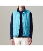 【ジェイ プレス/J.PRESS / MEN】のナイロンワッシャータフタ ダウンベスト 人気、トレンドファッション・服の通販 founy(ファニー) ファッション Fashion メンズファッション Fashion for Men アウター Men's Coats Outerwear インナー Innerwear キュプラ Cupro, Eco Fabric 軽量 Lightweight, Ultra Light ジャケット Jacket, Outerwear タフタ Taffeta, Structured Fabric ダウン Down, Puffer バランス Balance, Style Balance ベスト Vest, Waistcoat モダン Modern, Contemporary ワッシャー Washer, Crinkled Finish A/W・秋冬 Autumn/Winter エレガント 上品 Elegant thumbnail スカイブルー系|ID: prp329100004750250 ipo3291000000034347796