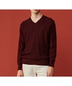 【ジョセフ アブード/JOSEPH ABBOUD / MEN】の【洗える/チクチクしない/3シーズン対応】SNOWY Vネック ニット ワイン系|ID: prp329100004752014 ipo3291000000034364728