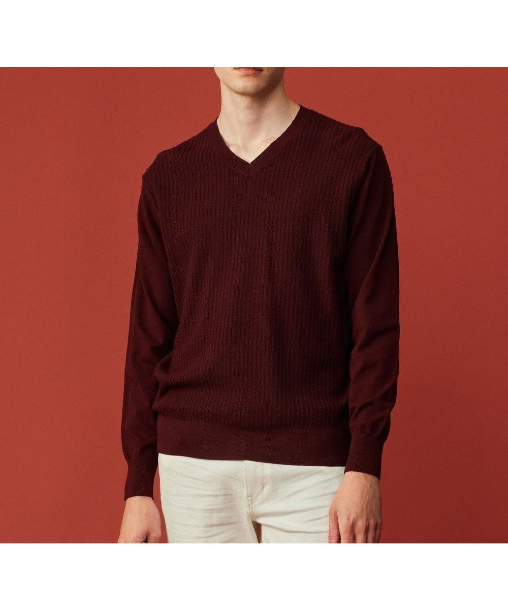 【ジョセフ アブード/JOSEPH ABBOUD / MEN】の【洗える/チクチクしない/3シーズン対応】SNOWY Vネック ニット インテリア・キッズ・メンズ・レディースファッション・服の通販 founy(ファニー) 　ファッション　Fashion　メンズファッション　Fashion for Men　トップス・カットソー　Cut & Sew Tops　ニット・セーター / 定番トップス　Knit Tops & Sweaters　インナー　Innerwear　ストレッチ　Stretch, Stretchy Fabric　セーター　Sweater, Knitwear　ビジネス 仕事 通勤　Business / Work / Commuting　冬　Winter / This Winter　春　Spring　洗える　Machine Washable　秋　Autumn　A/W・秋冬　Autumn/Winter　ワイン系|ID: prp329100004752014 ipo3291000000034364728