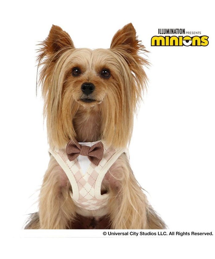 【ペットパラダイス/PET PARADISE / GOODS】のミニオン ティム ベストハーネス 《アーガイル》 超小型犬 3S インテリア・キッズ・メンズ・レディースファッション・服の通販 founy(ファニー) https://founy.com/ ベスト Vest, Waistcoat メッシュ Mesh, Net Fabric 犬 Dog ホーム・キャンプ・アウトドア・お取り寄せ Home Living / Home & Lifestyle / Camping Gear / Outdoor Camping ペットグッズ Pet Supplies |ID: prp329100004752962 ipo3291000000034377236