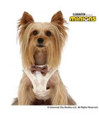【ペットパラダイス/PET PARADISE / GOODS】のミニオン ティム ベストハーネス 《アーガイル》 超小型犬 3S ベージュ|ID: prp329100004752962 ipo3291000000034377237