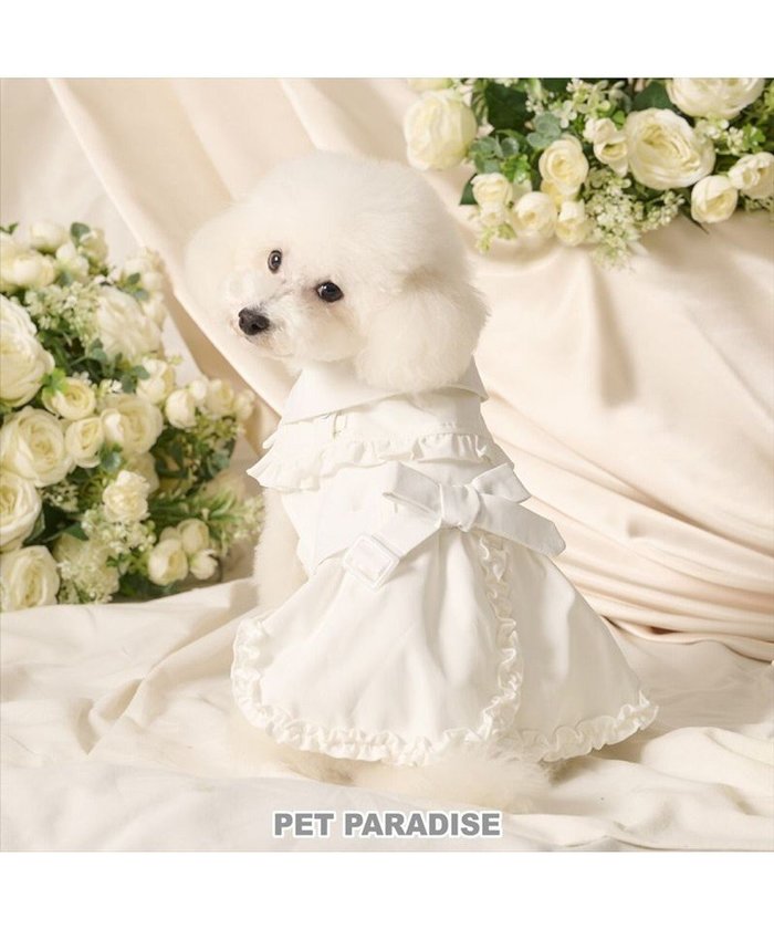 【ペットパラダイス/PET PARADISE / GOODS】のcherircouture フリフリ トレンチコート 小型犬 インテリア・キッズ・メンズ・レディースファッション・服の通販 founy(ファニー) https://founy.com/ トレンチ Trench, Trench Coat フリル Frill, Ruffle ポンチョ Poncho, Cape Style リボン Ribbon, Bow エレガント 上品 Elegant 夏 Summer 春 Spring S/S・春夏 SS, Spring/Summer, Warm Season 犬 Dog ホーム・キャンプ・アウトドア・お取り寄せ Home Living / Home & Lifestyle / Camping Gear / Outdoor Camping ペットグッズ Pet Supplies |ID: prp329100004755489 ipo3291000000034398010