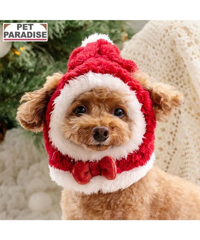 【ペットパラダイス/PET PARADISE / GOODS】のペットパラダイス サンタ 帽子 4S~3S/SS~S 2025 小型犬 インテリア・キッズ・メンズ・レディースファッション・服の通販 founy(ファニー) https://founy.com/ クリスマス X'mas Christmas / X'mas スリット Slit, Slit Detail 冬 Winter / This Winter 帽子 Hat, Headwear 犬 Dog A/W・秋冬 Autumn/Winter 防寒 Cold Protection, Winter-Ready ホーム・キャンプ・アウトドア・お取り寄せ Home Living / Home & Lifestyle / Camping Gear / Outdoor Camping ペットグッズ Pet Supplies |ID: prp329100004756730 ipo3291000000034409763