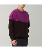 【アンフィーロ/UNFILO / MEN】のライトモール ニット ブラウン×パープル|ID: prp329100004763799 ipo3291000000034485053