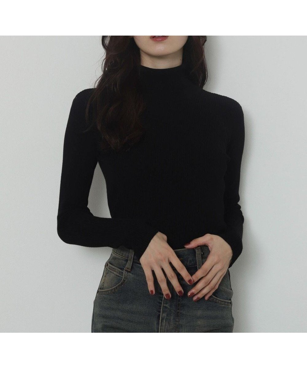 【ウィゴー/WEGO】の【2025年秋冬新作】リブタートルニット インテリア・キッズ・メンズ・レディースファッション・服の通販 founy(ファニー) 　ファッション　Fashion　レディースファッション　Fashion for Women　トップス・カットソー　Cut & Sew Tops　ニット　Knit Tops & Sweaters　インナー　Innerwear　春　Spring　カットソー　Cut and Sewn Top　カーディガン　Cardigan, Knitwear　スウェット / スエット　Sweatshirt, Sweatwear　スマホ　Smartphone, Mobile Device　セーター　Sweater, Knitwear　タートル　Turtleneck, Turtle Collar　タートルネック　Turtleneck, High Neck　定番　Standard, Basic Item　長袖　Long Sleeve, Full Sleeve　ハイネック　High Neck, Mock Neck　フィット　Fit, Slim Fit　ベーシック　Basic, Essential　ボトム　Bottoms, Lower Wear　無地　Plain, Solid Color　冬　Winter / This Winter　A/W・秋冬　Autumn/Winter　おすすめ　Recommended / Our Picks　クリスマス X'mas　Christmas / X'mas　ブラック|ID: prp329100004764853 ipo3291000000034495902