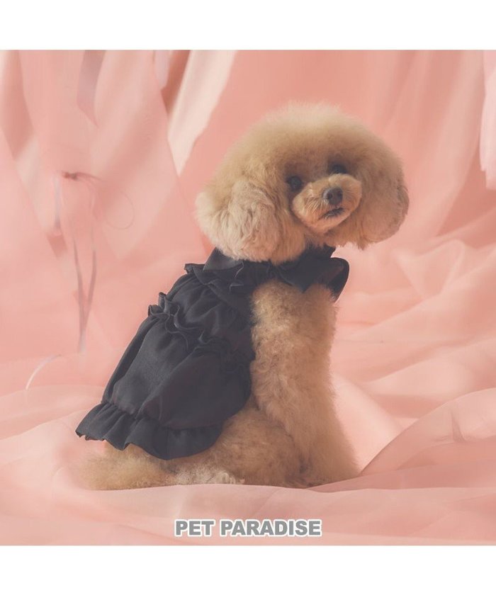 【ペットパラダイス/PET PARADISE / GOODS】のcherircouture リボン ギャザーベスト 《ブラック》 小型犬 インテリア・キッズ・メンズ・レディースファッション・服の通販 founy(ファニー) https://founy.com/ ギャザー Gathered, Ruffled ベスト Vest, Waistcoat リボン Ribbon, Bow 犬 Dog A/W・秋冬 Autumn/Winter ホーム・キャンプ・アウトドア・お取り寄せ Home Living / Home & Lifestyle / Camping Gear / Outdoor Camping ペットグッズ Pet Supplies |ID: prp329100004765889 ipo3291000000034505036