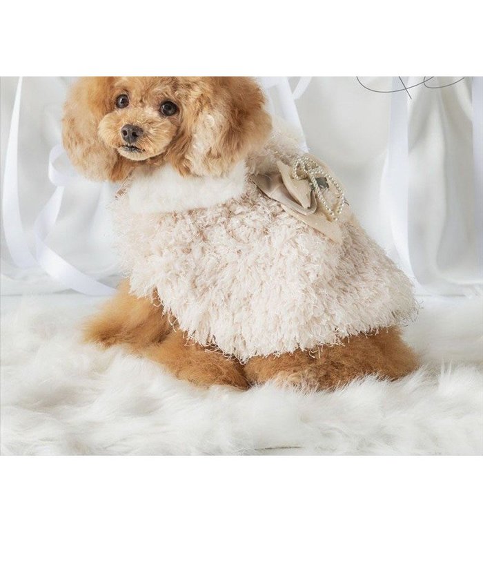 【ペットパラダイス/PET PARADISE / GOODS】のcherircouture ドットリボン ポンチョ 《ホワイト》 小型犬 インテリア・キッズ・メンズ・レディースファッション・服の通販 founy(ファニー) https://founy.com/ イレギュラー Irregular Design ドット Polka Dot, Dot Pattern パール Pearl, Pearl Accent ポンチョ Poncho, Cape Style モチーフ Motif, Design Theme リボン Ribbon, Bow 冬 Winter / This Winter A/W・秋冬 Autumn/Winter おすすめ Recommended / Our Picks 犬 Dog ホーム・キャンプ・アウトドア・お取り寄せ Home Living / Home & Lifestyle / Camping Gear / Outdoor Camping ペットグッズ Pet Supplies |ID: prp329100004767427 ipo3291000000034526155