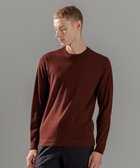 【ジョゼフ オム/JOSEPH HOMME / MEN】のウォッシャブルメリノ クルーネックニット ワイン系|ID: prp329100004768304 ipo3291000000034536113