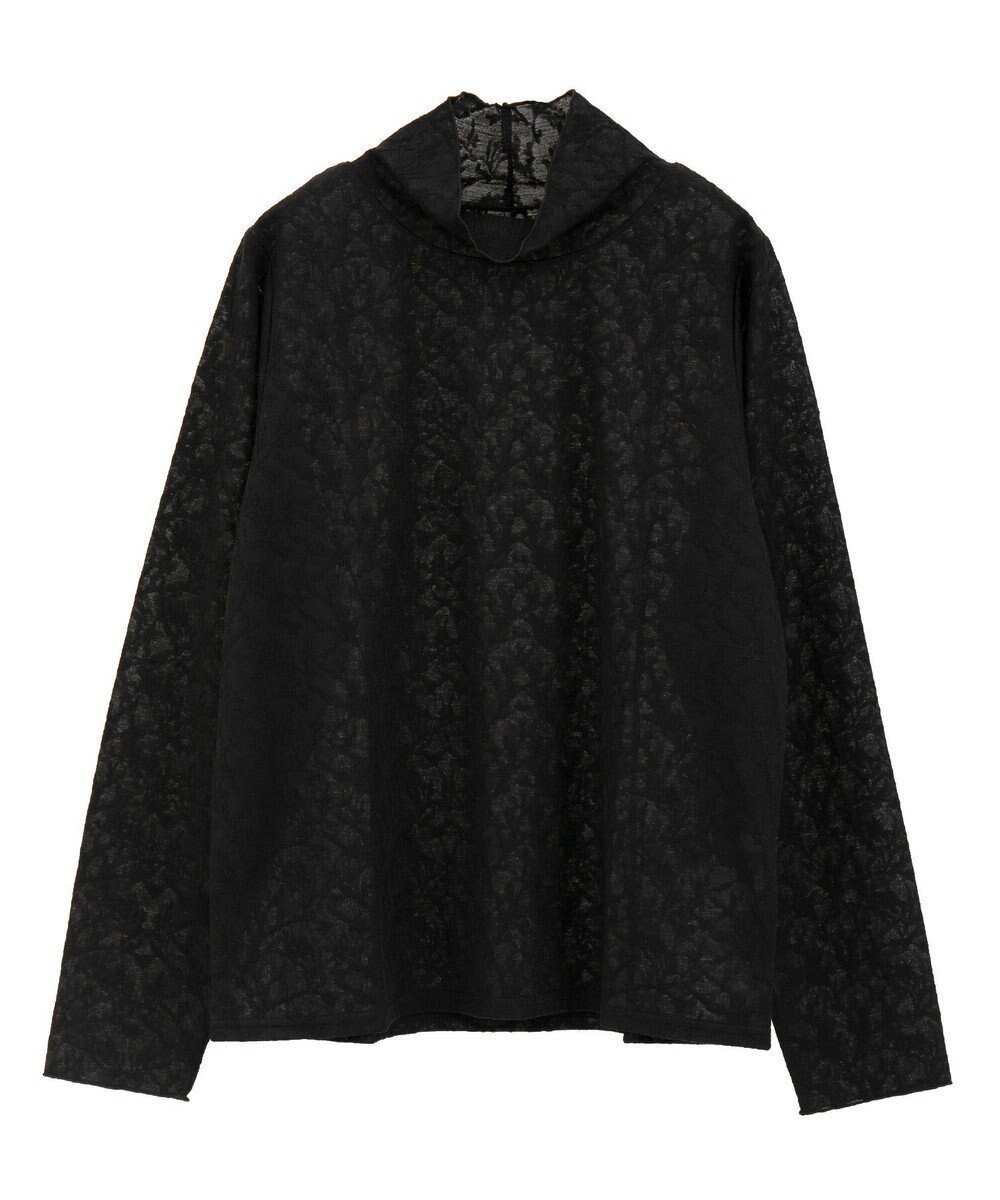 【グリーンパークス/Green Parks】のレースハイネックプルオーバー インテリア・キッズ・メンズ・レディースファッション・服の通販 founy(ファニー) 　ファッション　Fashion　レディースファッション　Fashion for Women　トップス・カットソー　Cut & Sew Tops　シャツ・ブラウス・オフィスカジュアル　Elegant Blouses & Button-Ups　ロングTシャツ・Tシャツ　Longline T-Shirts & Tees　カジュアルプルオーバー・ニットトップス　Pullovers & Knit Tops / Casual Pullovers　カットソー・ベーシックTシャツ　Cut-and-Sewn Tops / Stretch Tees & Basics　おすすめ　Recommended / Our Picks　インナー　Innerwear　エレガント 上品　Elegant　カットソー　Cut and Sewn Top　ジャケット　Jacket, Outerwear　スウェット / スエット　Sweatshirt, Sweatwear　ハイネック　High Neck, Mock Neck　フィット　Fit, Slim Fit　ベスト　Vest, Waistcoat　ポケット　Pocket, Pocket Detail　A/W・秋冬　Autumn/Winter　Black|ID: prp329100004768392 ipo3291000000034536554