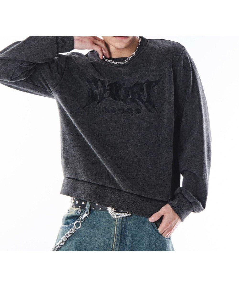 【ウィゴー/WEGO】の【ユニセックス着用ITEM】コンパクトフィットロゴプルオーバー インテリア・キッズ・メンズ・レディースファッション・服の通販 founy(ファニー) 　ファッション　Fashion　レディースファッション　Fashion for Women　トップス・カットソー　Cut & Sew Tops　レディースパーカー・カジュアルフーディー　Casual Hoodies & Sweatshirts　カジュアルプルオーバー・ニットトップス　Pullovers & Knit Tops / Casual Pullovers　スウェット・クルーネックトップス　Sweatshirts & Crewnecks / Relaxed Fit Sweat Tops　春　Spring　秋　Autumn　カーゴパンツ　Cargo Pants, Utility Pants　グラフィック　Graphic, Graphic Design　コンパクト　Compact, Small Size　ショルダー　Shoulder, Shoulder Strap　シンプル　Simple, Minimal　ジャケット　Jacket, Outerwear　スウェット / スエット　Sweatshirt, Sweatwear　スマホ　Smartphone, Mobile Device　デニム　Denim, Jeans Material　トレンド　Trend, Trending Now　バランス　Balance, Style Balance　フロント　Front, Front Design　ワイド　Wide, Wide Fit　冬　Winter / This Winter　A/W・秋冬　Autumn/Winter　おすすめ　Recommended / Our Picks　ブラックその他|ID: prp329100004768430 ipo3291000000034536710